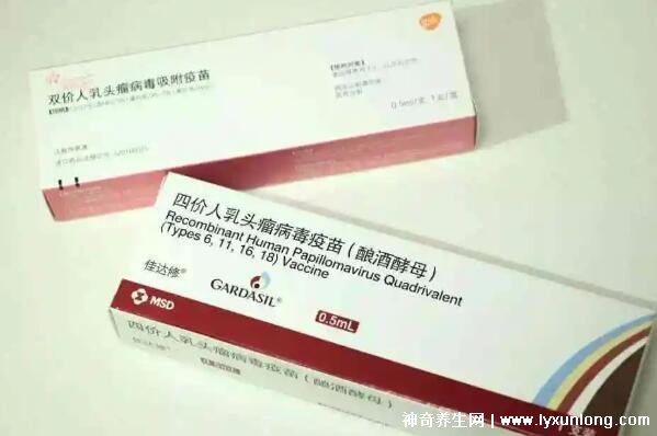 医生建议打二价不打四价是什么意思
