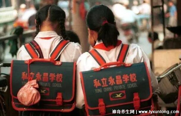 为什么不建议孩子去私立学校