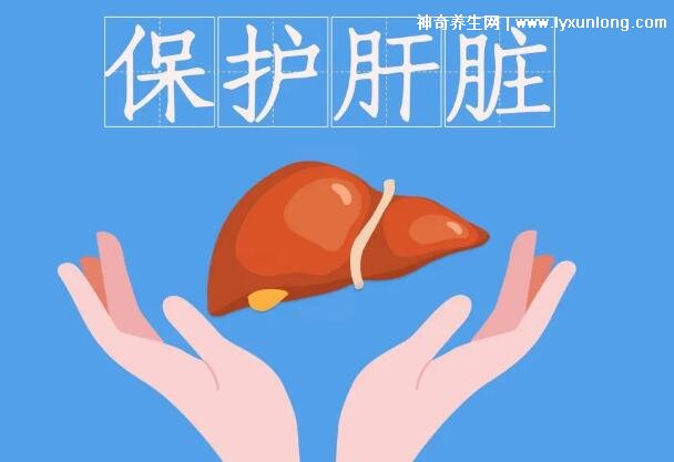 养肝第一水果排行榜