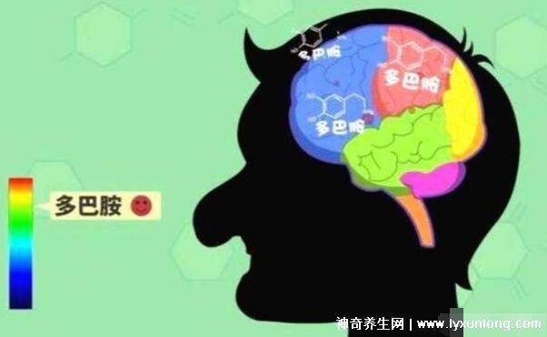 多巴胺是什么东西,网络上多巴胺是什么意思