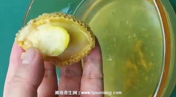鲍鱼的做法及清洗视频教程