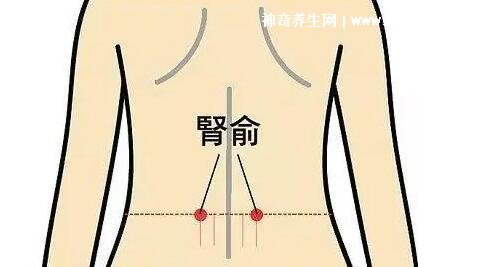 肾俞的准确位置图