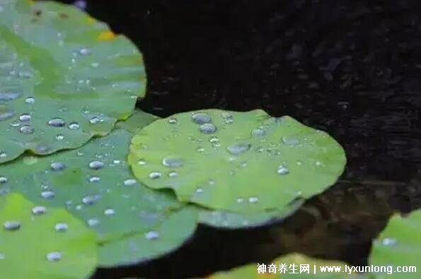 梅雨季节是几月份到几月份结束