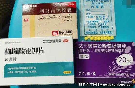 幽门螺杆菌最怕三种药