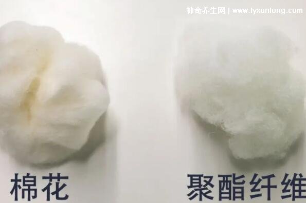 聚酯纤维和棉哪个好