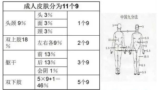 烧伤面积口诀三三三五六七