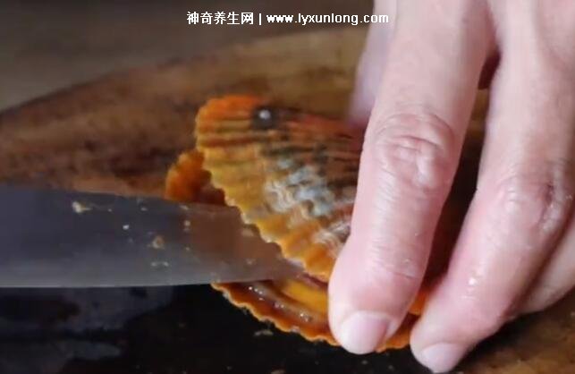 扇贝肉怎么处理干净，内附详细步骤图片