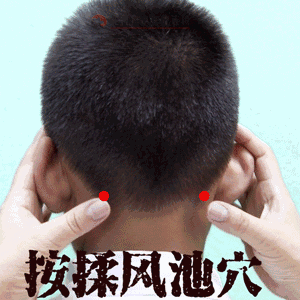 风池的准确位置图