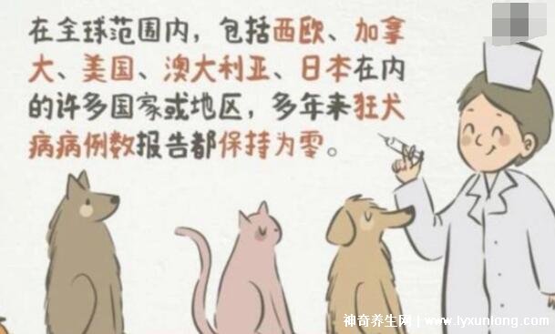 10种情况不需要打狂犬疫苗