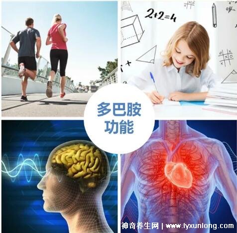 多巴胺是什么东西,网络上多巴胺是什么意思