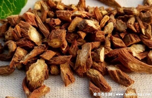 三种人坚决不能吃丹参