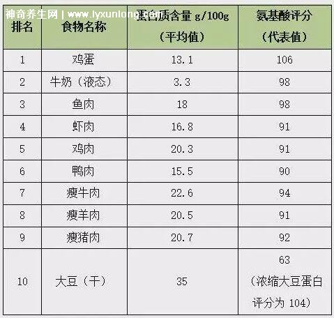 蛋白质含量高的食物排名表