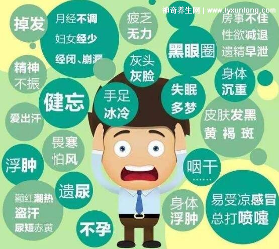 30秒自测阴虚还是阳虚