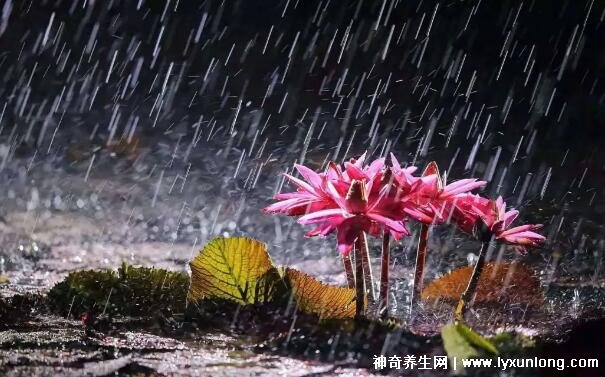 梅雨季节是几月份到几月份结束