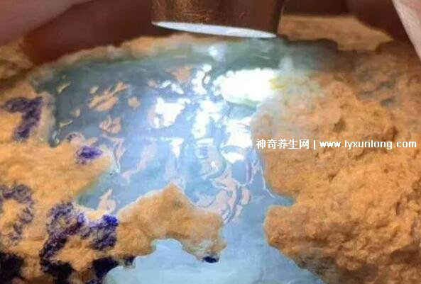 怎样购买翡翠毛料