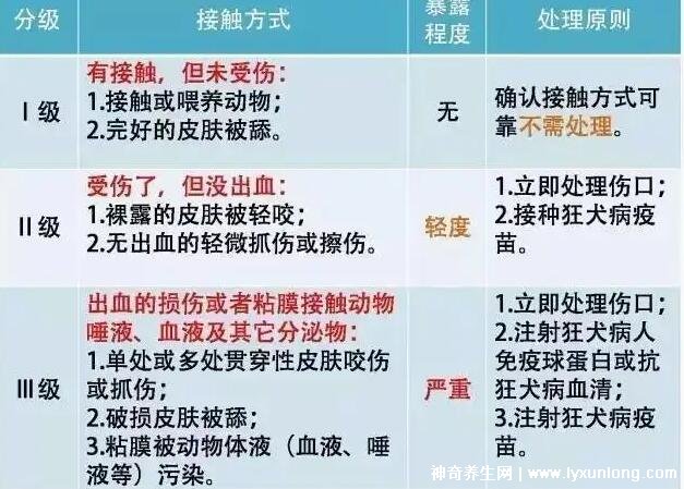 10种图片猫抓破皮不需要打针