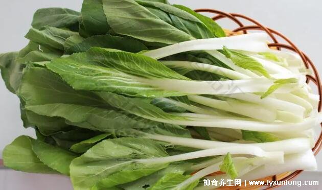 荨麻疹最怕三个土方法