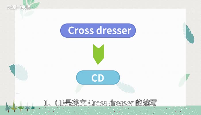 cd是什么意思