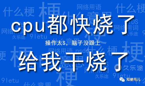 cpu都快烧了 cpu给我干烧了是什么意思