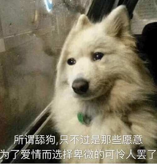 舔狗是什么意思