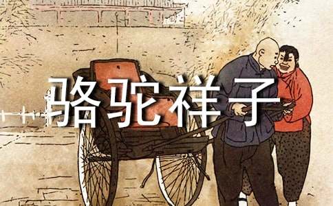 骆驼祥子读后感(13篇)