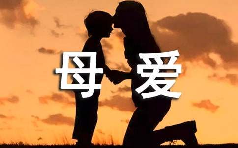 适合发朋友圈母爱的句子