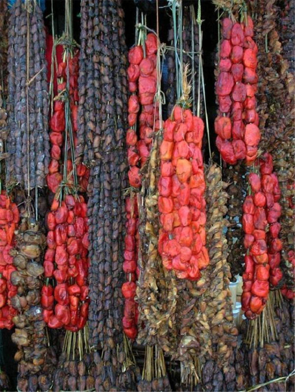 世界上会呼吸的“石头”,还有“性别”之分,切开会流血