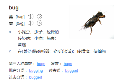 bug是什么意思