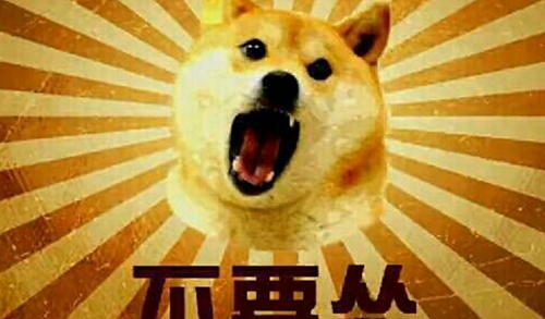 怂是什么意思
