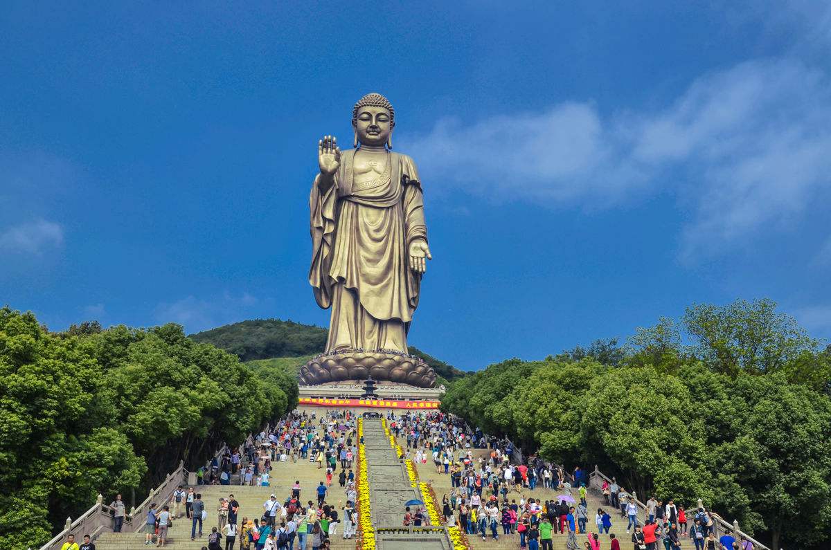 全球最特别的三只手,一只长在沙漠,一只握着树,最后一只在最新