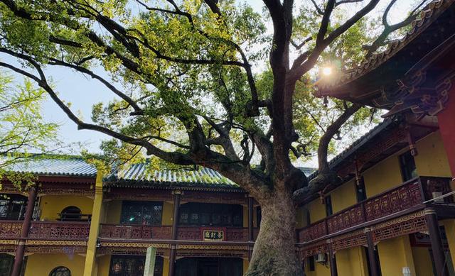 我国最纯净的寺庙,禁止一种人入内,不收门票、烧香求佛一律免费