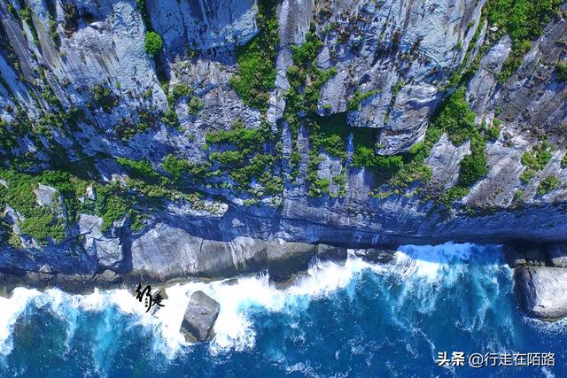 最恐怖岛屿:面积43万平米却有50万条蛇,最贵一条卖20万