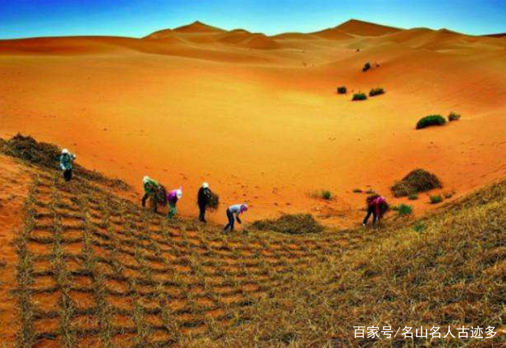 最新该沙漠80%变绿洲，却迎来一群“捣乱者”，让治沙人气愤不已