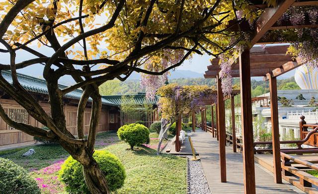 我国最纯净的寺庙,禁止一种人入内,不收门票、烧香求佛一律免费