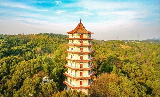 我国最纯净的寺庙,禁止一种人入内,不收门票、烧香求佛一律免费