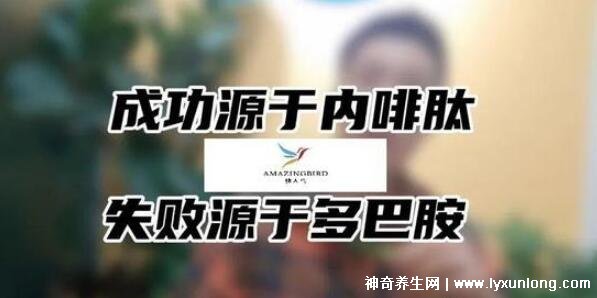 内啡肽和多巴胺的区别