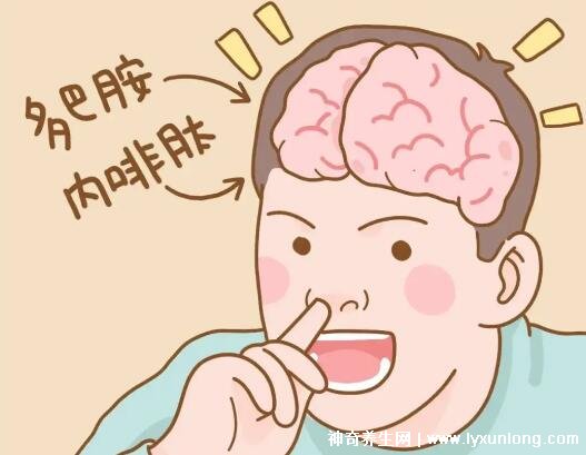 内啡肽和多巴胺的区别