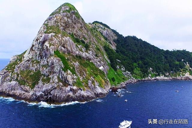 最恐怖岛屿:面积43万平米却有50万条蛇,最贵一条卖20万