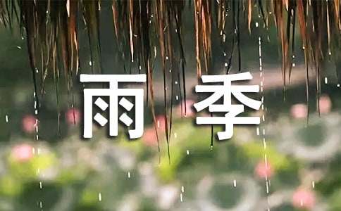 描写雨季的句子 58句