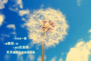 你认为网恋+异地+姐弟恋，靠谱吗？