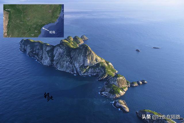 最恐怖岛屿:面积43万平米却有50万条蛇,最贵一条卖20万