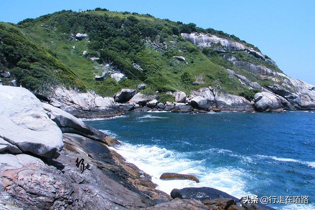 最恐怖岛屿:面积43万平米却有50万条蛇,最贵一条卖20万