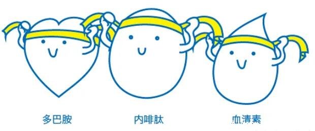 内啡肽和多巴胺的区别