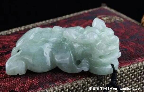 貔貅最忌讳什么生肖